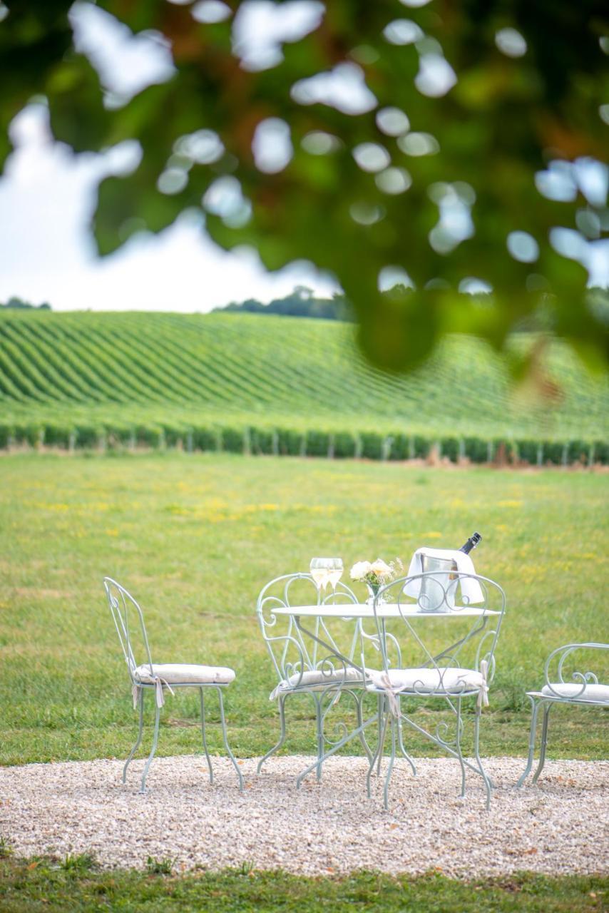 Bed and Breakfast L' Ecrin Des Vignes Sermiers Zewnętrze zdjęcie