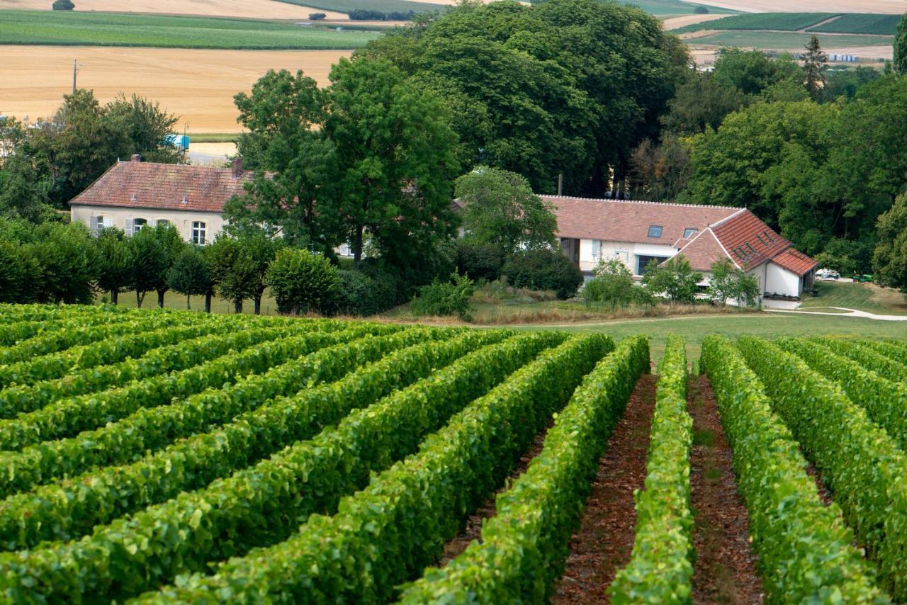 Bed and Breakfast L' Ecrin Des Vignes Sermiers Zewnętrze zdjęcie